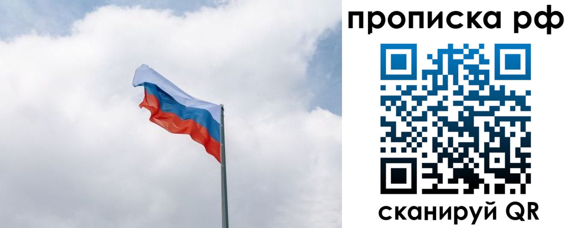 прописка гарантия в Ясном